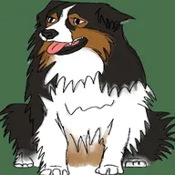 Guru, the KVI concierge